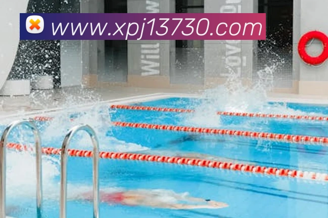 新葡京在线网址发展历程